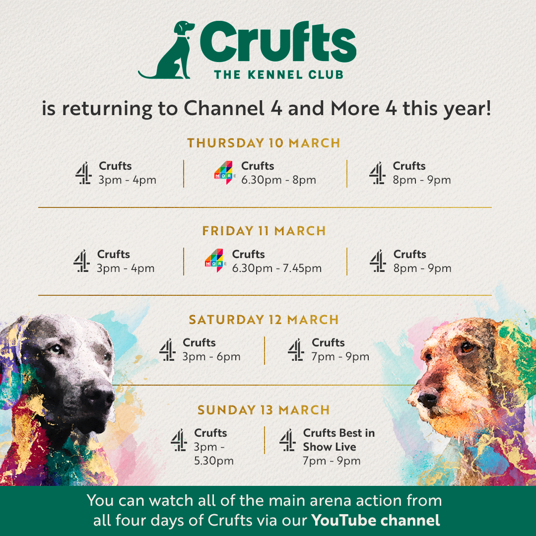 More 4 sale crufts