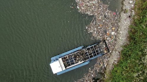 aggregatte tweet media