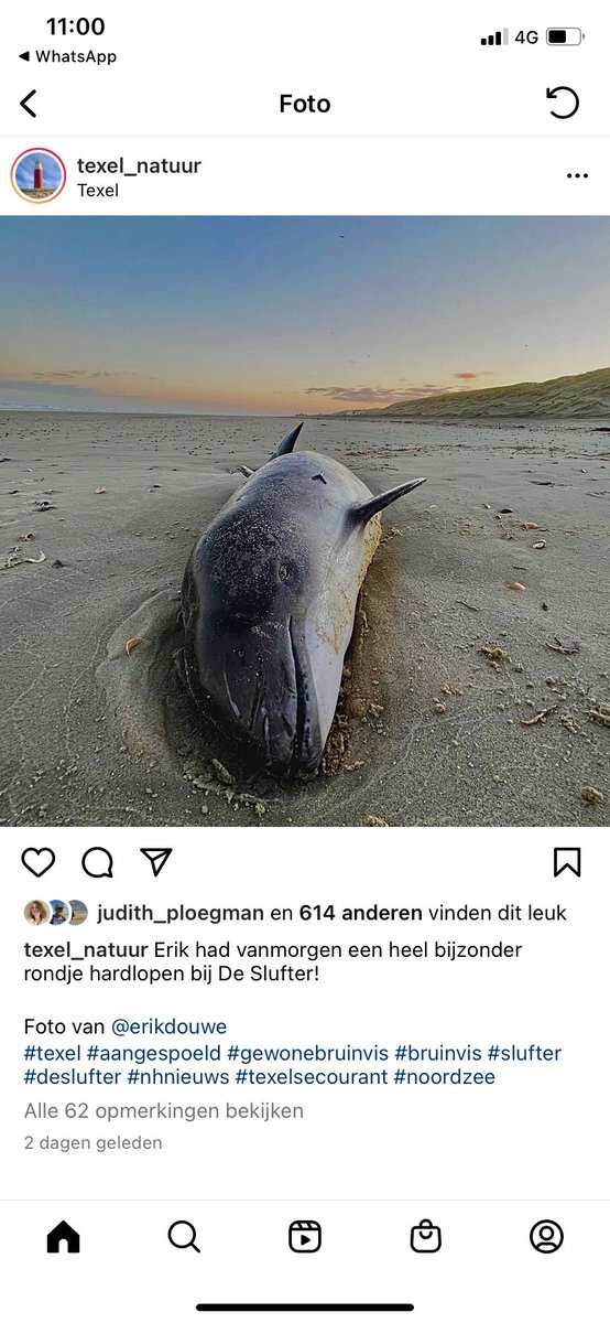 JeroenvanHattum (@jeroenvanhattum) on Twitter photo 