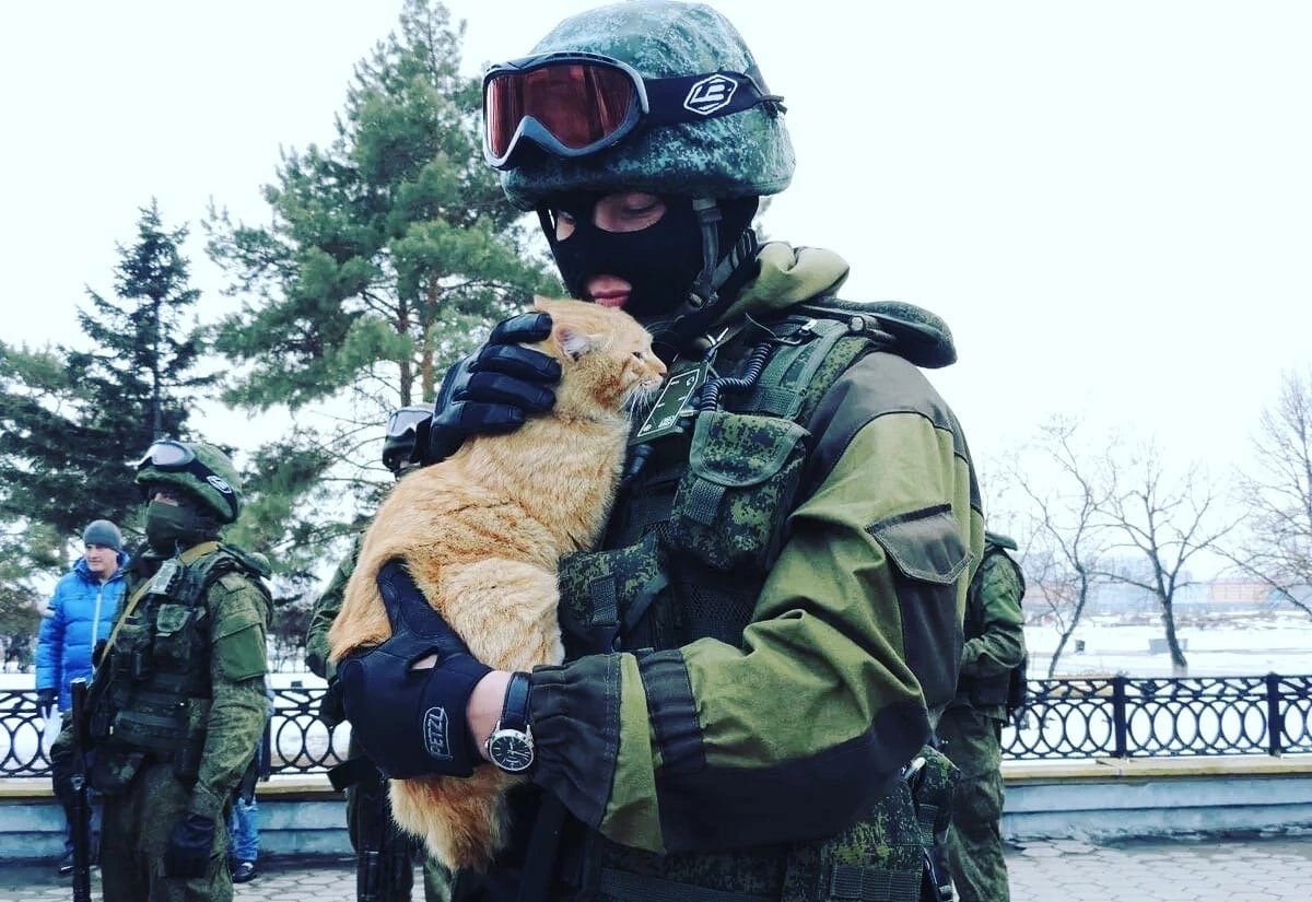 Ты больше не кiт, успокойся, всё будет теперь хорошо.