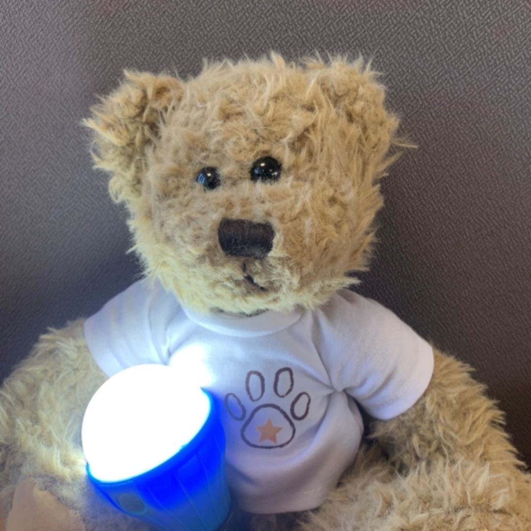 Ted arrived. He's safe and well. A little shaken, a little confused. He's not quite sure where he is right now, but he knows he's going to be safe. And he has his light... Thank you @tedslight1 for sending us such wonderful bears. We can't wait to find him a safe and happy home