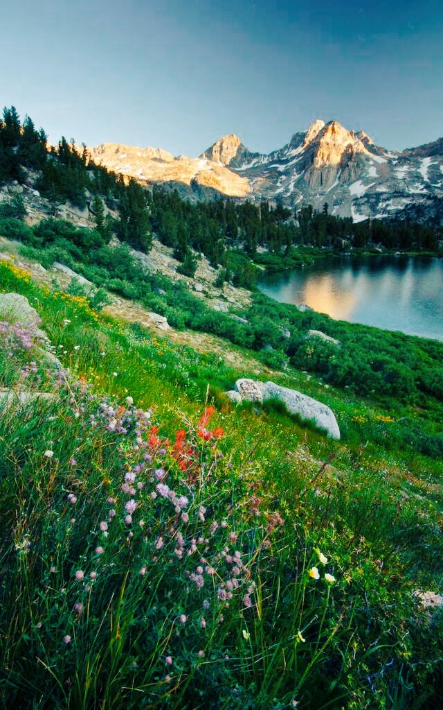 Good Day 💚💚💚💚