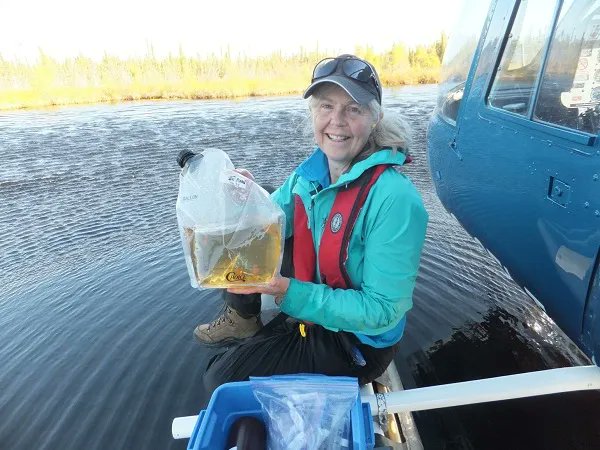 🎉Congratulations to this year's F.H. Rigler Award recipient Dr. Sherry Schiff! This award is sponsored by <a href="/cjfas/">Canadian Journal of Fisheries and Aquatic Sciences</a> publisher <a href="/cdnsciencepub/">Canadian Science Publishing</a> and is the highest honour given by @Can_Limnology! Learn more: buff.ly/3rWuqHw 
#ccffrscl2022 <a href="/CCFFR_CCRP/">CCFFR</a>