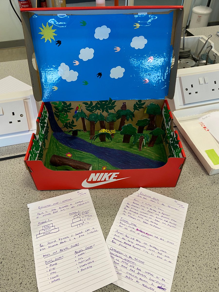 shs_biology's tweet photo. Miss Allan is incredibly proud of her N5 Bio class for their Biome in a Box task. Pupils were asked to consolidate all their Life on Earth learning into a display of an ecosystem #N5Bio #LifeOnEarth https://t.co/Vlu7F4Jjma