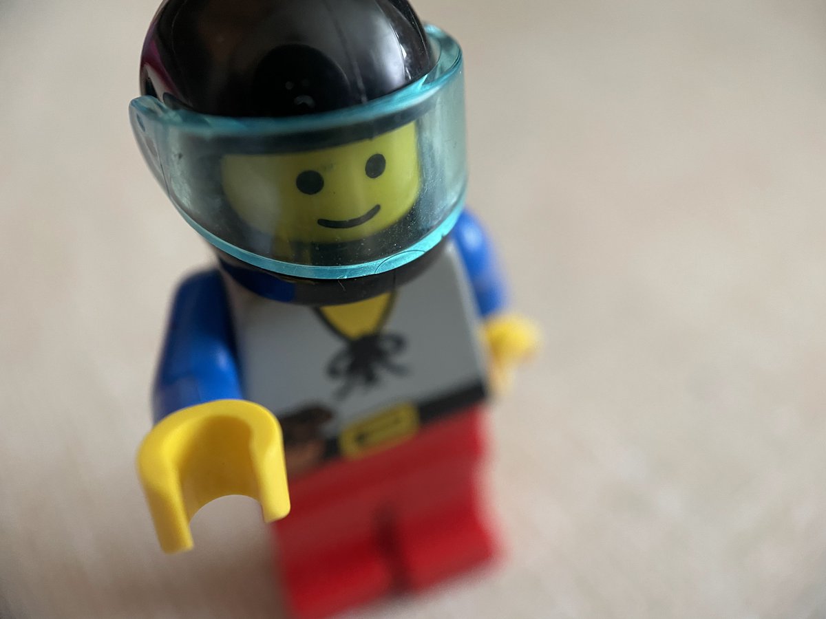 Lisa Winkler tweet media