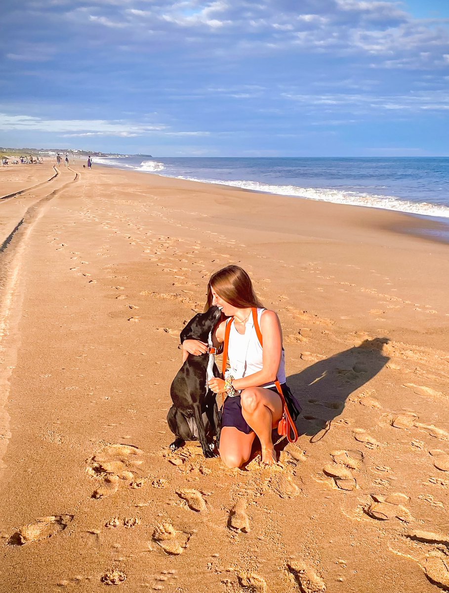 oh hey #twitterdogcommunity we’re here too 👋🏻