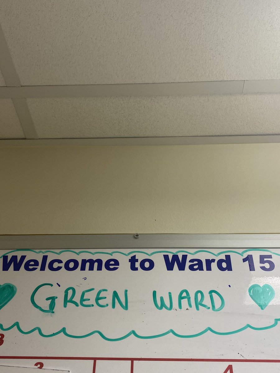 ward 15 💙 tweet media