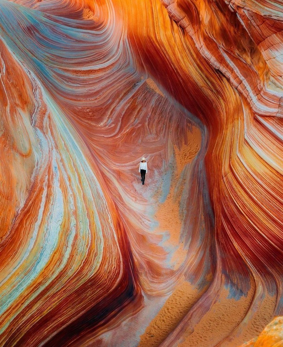 𝐷𝑎𝑛𝑖𝑒𝑙𝑙𝑒 tweet media