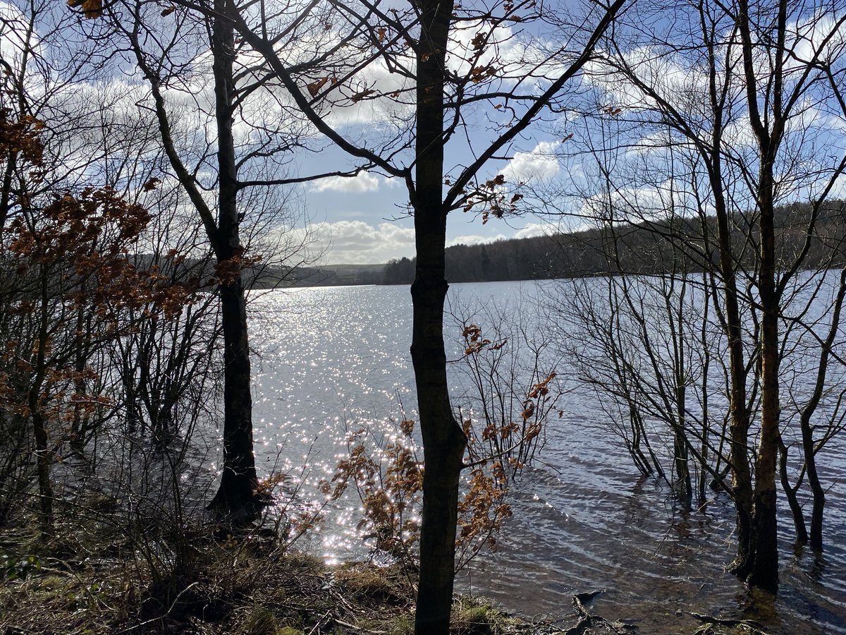 Rosie_1st's tweet photo. Been for walk to my first reservoir today. I ran backs and forwards the whole way! #cockador #dogsoftwitter https://t.co/sQDR0l7qil