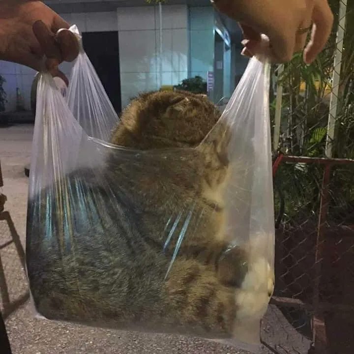 I have something for you.