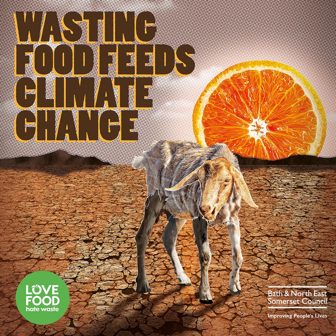 bnes_libraries's tweet photo. 🎉This #FoodWasteActionWeek weʼre celebrating our unsung kitchen heroes. Find out how your fridge, freezer and microwave can help save the planet with these clever storage and defrosting hacks. 

https://t.co/eoFcG9eFIs

#VirtualLibrary #BathnesLibraries #InfoThursday https://t.co/YzZiVgoPsI
