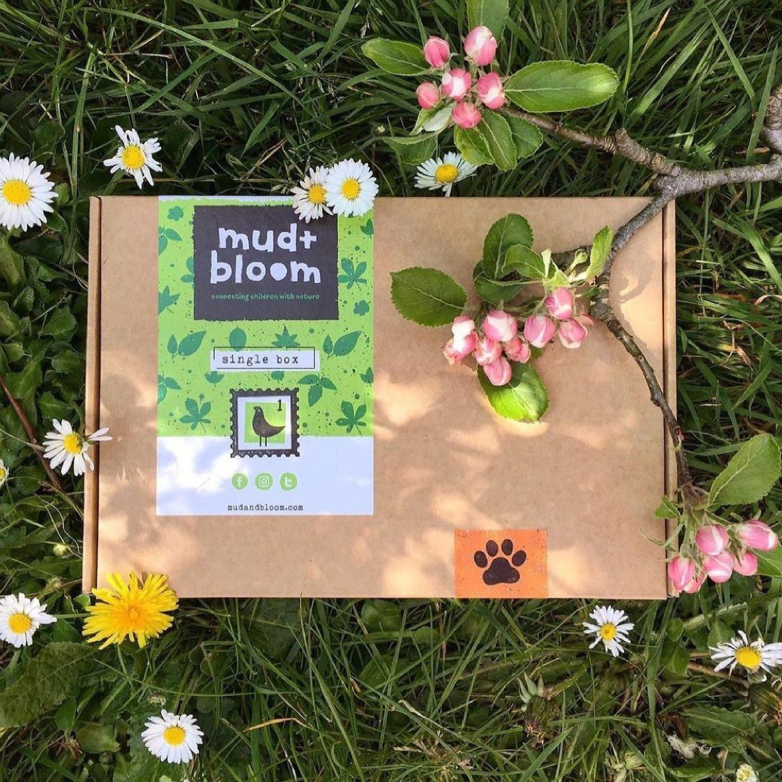 MudandBloom's tweet photo. Win 1 of 2 March boxes!🌿🌼

To enter: 
🌼like
🌼follow
🌼+ tag someone interested in childrens gardening + nature crafts.

#Giveaway closes midnight Sunday  27th Feb.

We're also running giveaways on Instagram + Facebook for 4 more boxes! 
#gardening #outdoorlearning #gardening https://t.co/tOk1JzpbYD