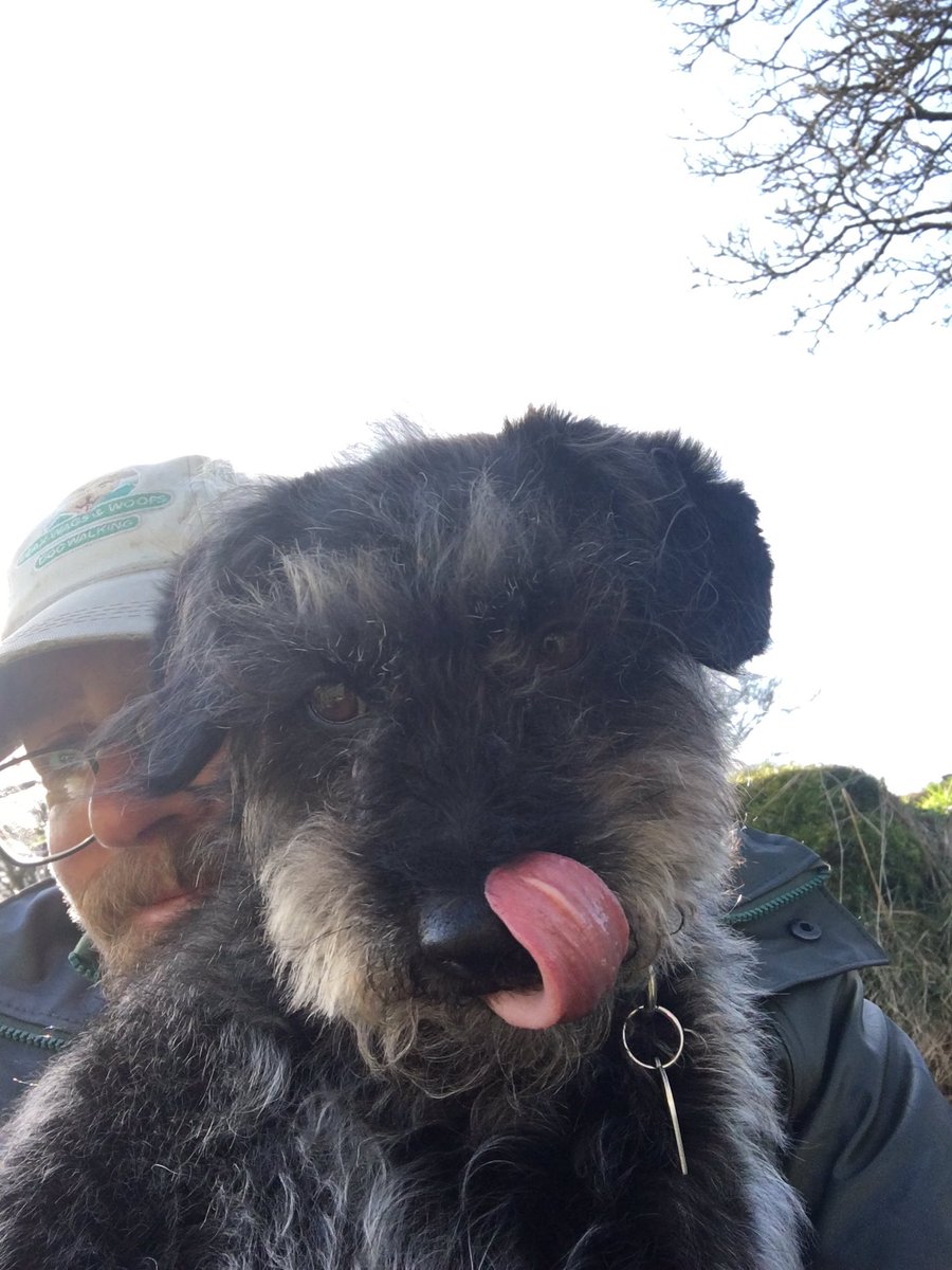 PeakWags&Woofs tweet media