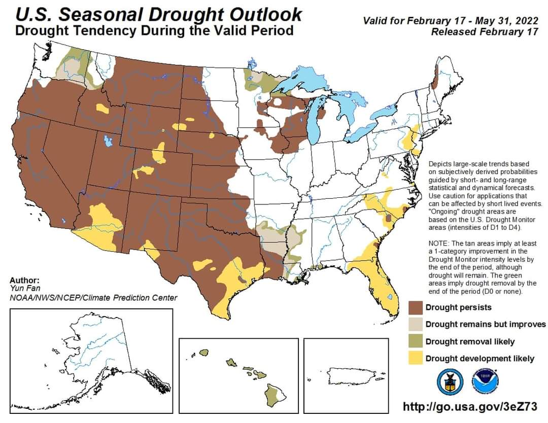 mealchan's tweet photo. I'm deciding I don't want to ever live anywhere that's covered in brown. I'm a grower... We need water to live. This is depressing! #drought #map #usa #water https://t.co/8eBESPdxr2