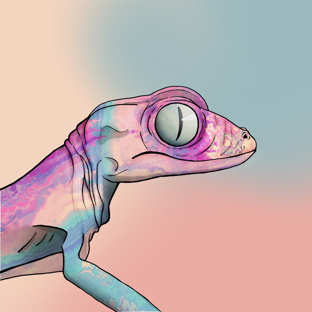 Gekofam.algo tweet media