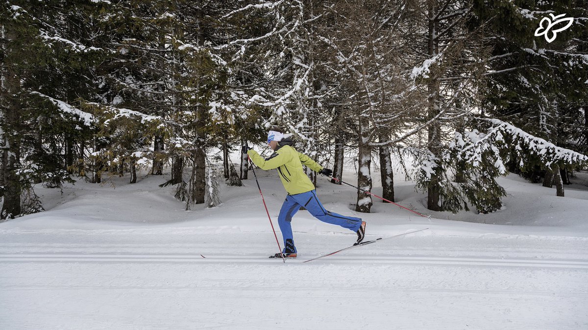 If you want to combine the benefits of sporting activity and the pleasure of enjoying a landscape surrounded by nature, cross-country skiing is the perfect sport for you 💙 Best if it is done on the slopes in @AptTrento! ➡️ tinyurl.com/Skifondo [📷 D. Lira] #visittrentino