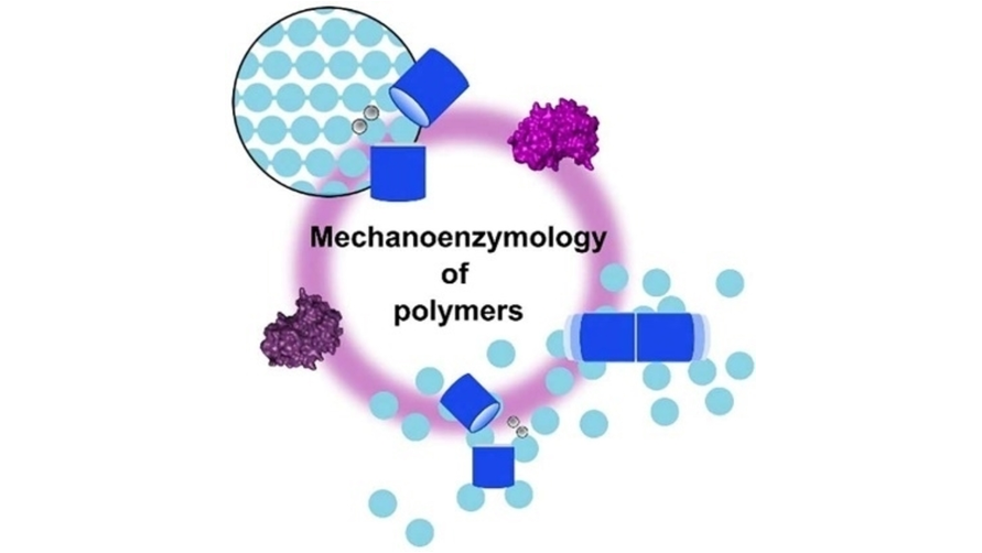 ChemSusChem's tweet photo. Mechanoenzymatic Reactions Involving Polymeric Substrates or Products (Arciszewski and Auclair @AuclairLab) #CMTD_CSSC_Mechano #ChemSusReviews https://t.co/cFyKwKwVSy https://t.co/FWkpe52jzv