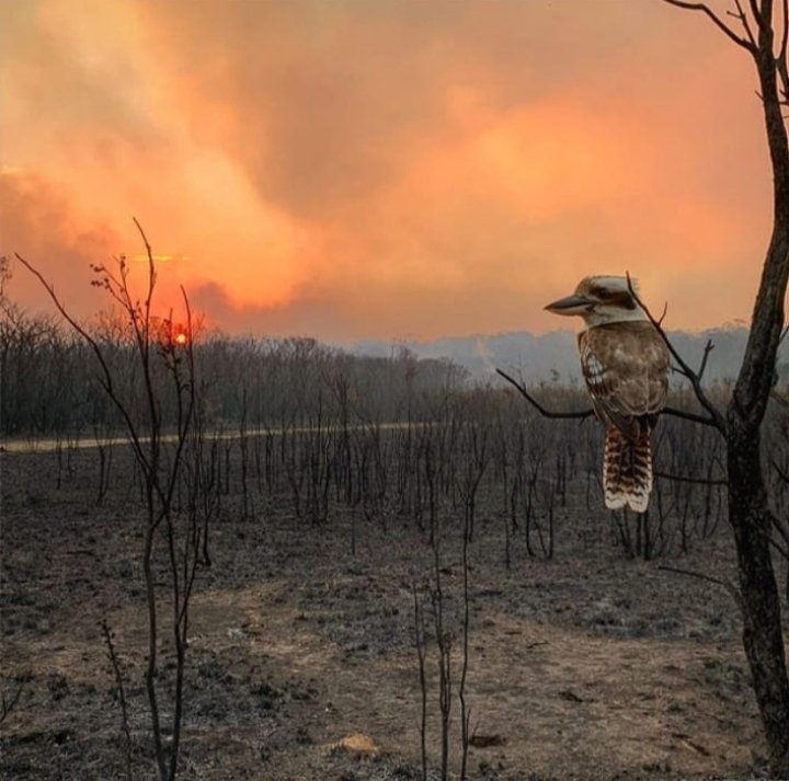 _JUHISINGH_'s tweet image. तू क्या ढूंढ रहा उस शाख़ से
वो खुद खड़ा है एक इतफाख से।।
#instantwriting #WritingCommunity 
#ThoughtOfTheDay