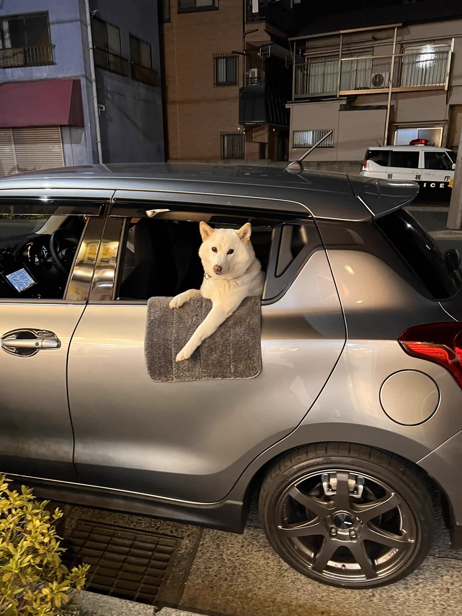 乗ってく？こんな風に声をかけられたら乗らずにはいられない！！