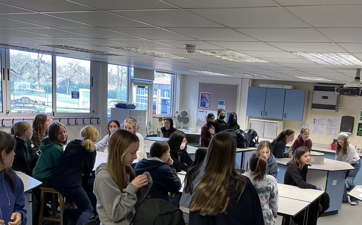 Year8_Tormead tweet media