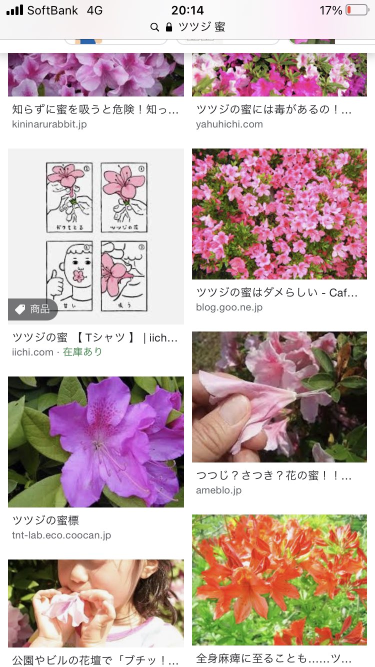 にこらす刑事 参考画像 左 ツツジ ピンク 右 サルビア 赤 T Co Hkpri99phv Twitter