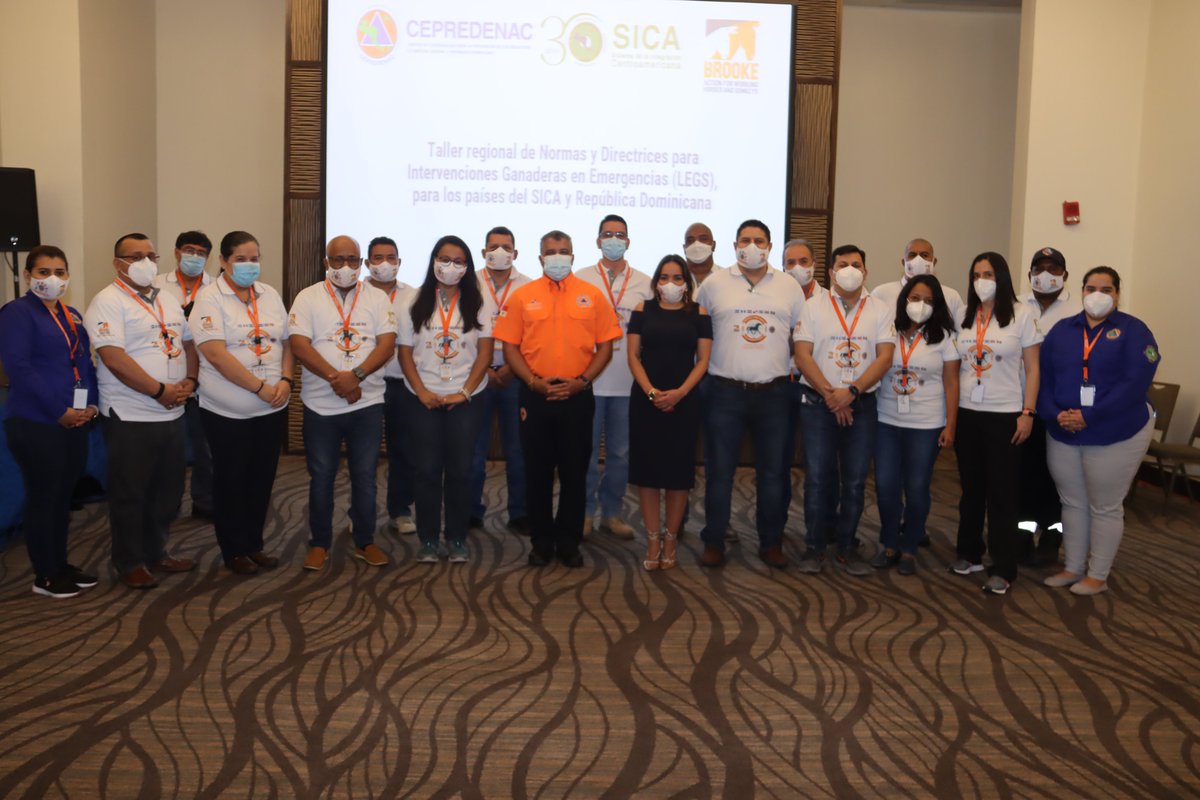 TheBrooke's tweet photo. The Regional Workshop on Standards and Guidelines for Livestock Interventions in Emergencies organised by @CEPREDENAC and Brooke draws to an end, with the participation of the Governing Entities of #GIRD and Ministries of Environment and Livestock. https://t.co/6d4iByNqAL