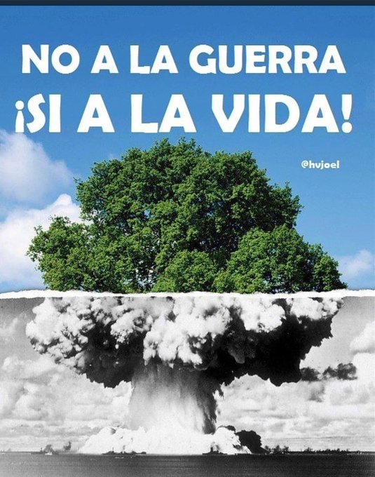 #NoALaGuerra Si als arbres, als boscos, les muntanyes, als oceans, a la natura ... Si a la vida!