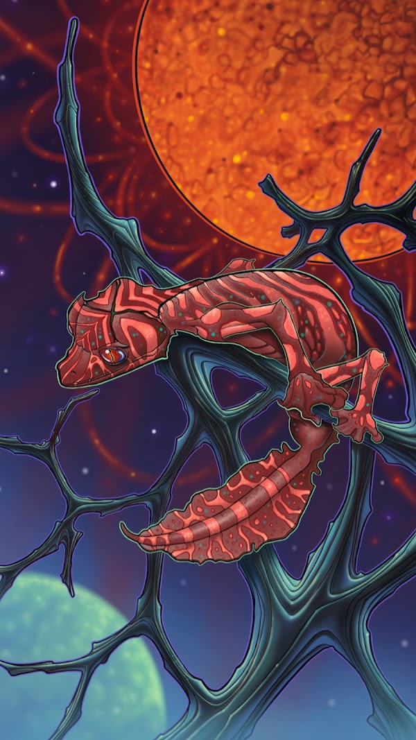 ' Uroplatus cosmicus ' ⭐️ Jon Clue ✨

📍 Resonance tattoo

🇺🇸 NYC, USA

Find this NTF and other amazing Artworks in our virtual Tattoo Convention
events.decentraland.org/event/?id=9d65…

#art #artwork #tattoo #tatouage #tattooartist #metaverse #NFT #DCL #tattooconvention