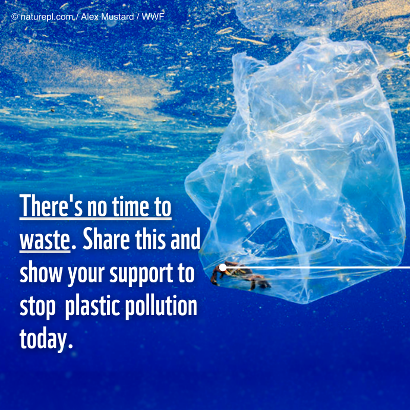 WWF's tweet photo. What we know about the effects of plastic pollution is just the tip of the iceberg.

We CAN #StopPlasticPollution with a #PlasticsTreaty - it’s not too late https://t.co/OF5fqwYt9c

#UNEA #AllEyesOnUNEA