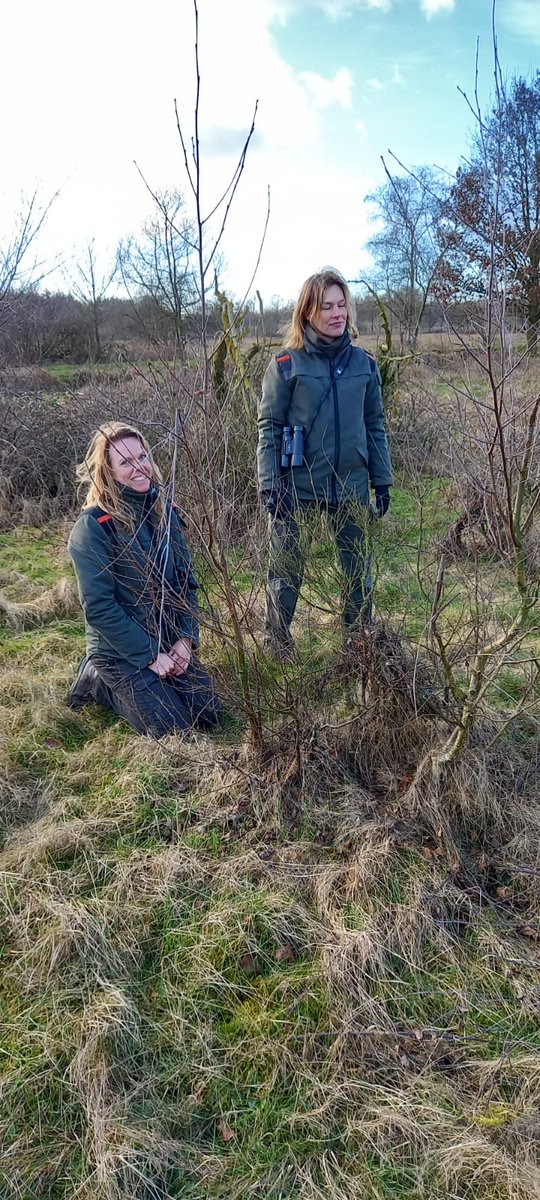 FREE Nature tweet media