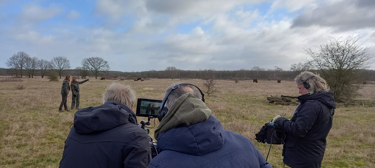 FREE Nature tweet media