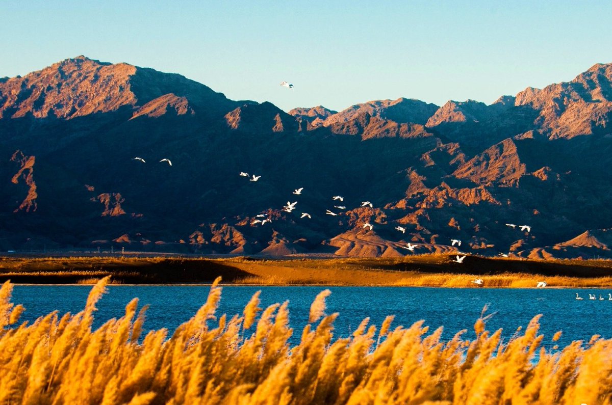 Zhang Meifang tweet media