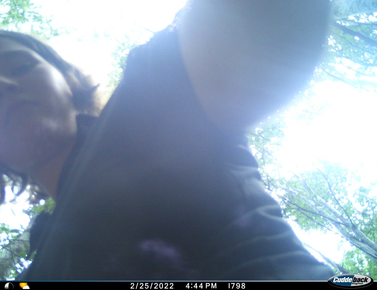 TaggingTabbies's tweet photo. Nothing like an unflattering candid shot to end a day of field work. Thanks camera trap.
#Selfie? #Ecology #JustFieldWorkThings https://t.co/IQMpTBWVid