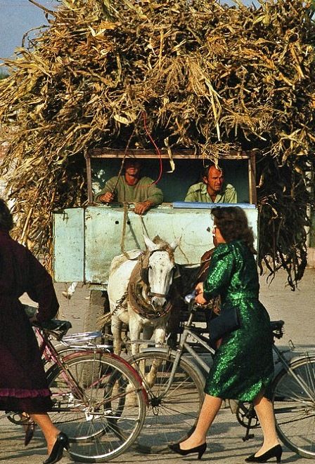 Fussball Geekz tweet media