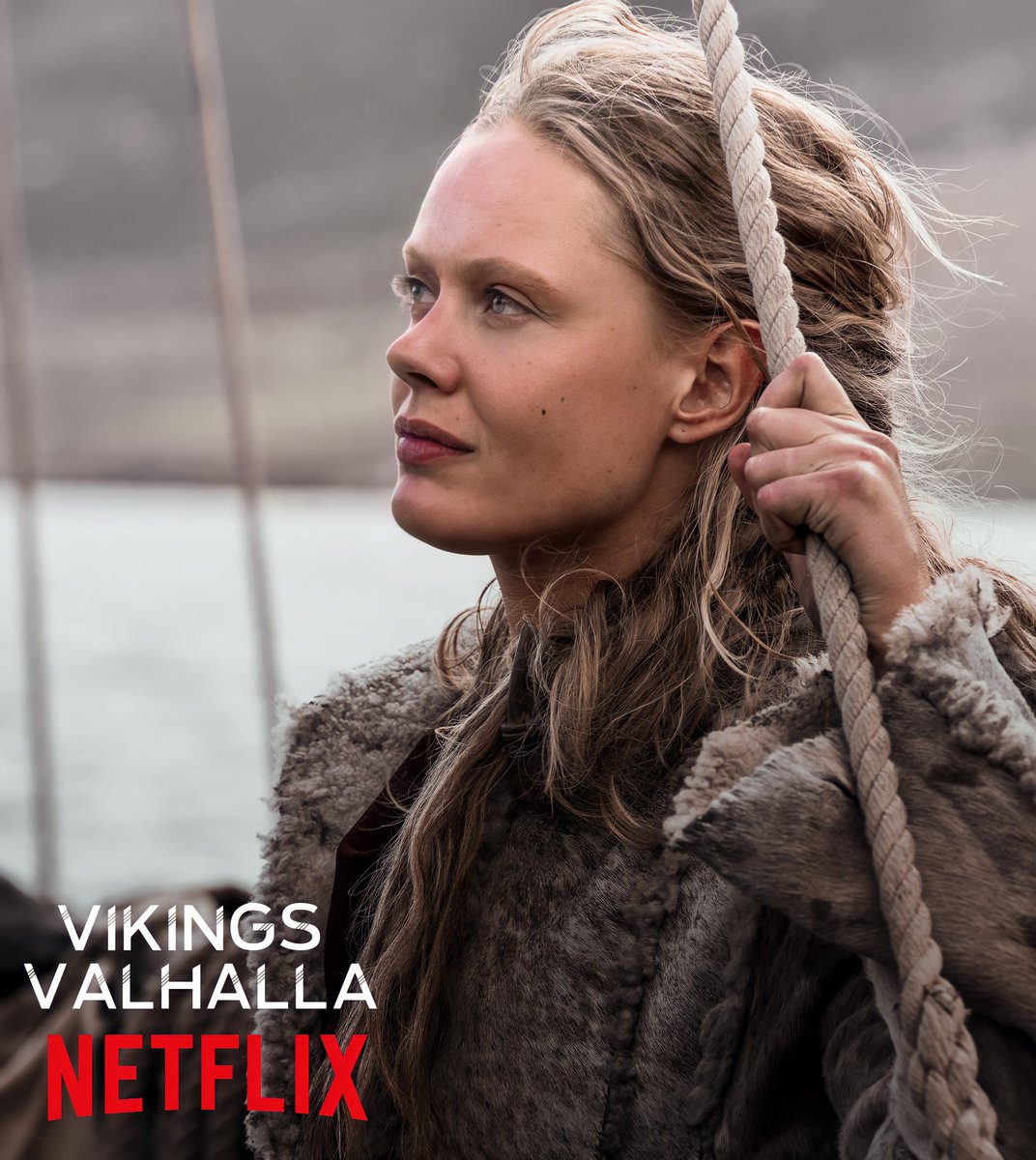 Vikings Serie Fans tweet media