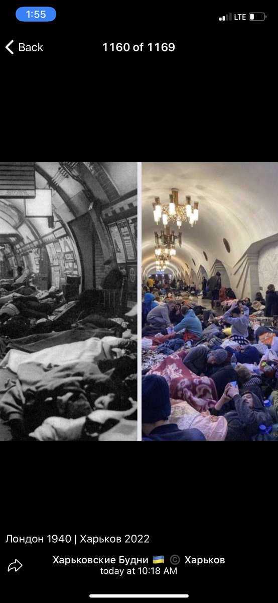 Tiger_The_Rab's tweet photo. Лондон 1940/хорьков 2022 🇺🇦 #Ukraine #UkraineRussia #UkraineInvasion #UkraineUnderAttack https://t.co/RSCuICDhgz