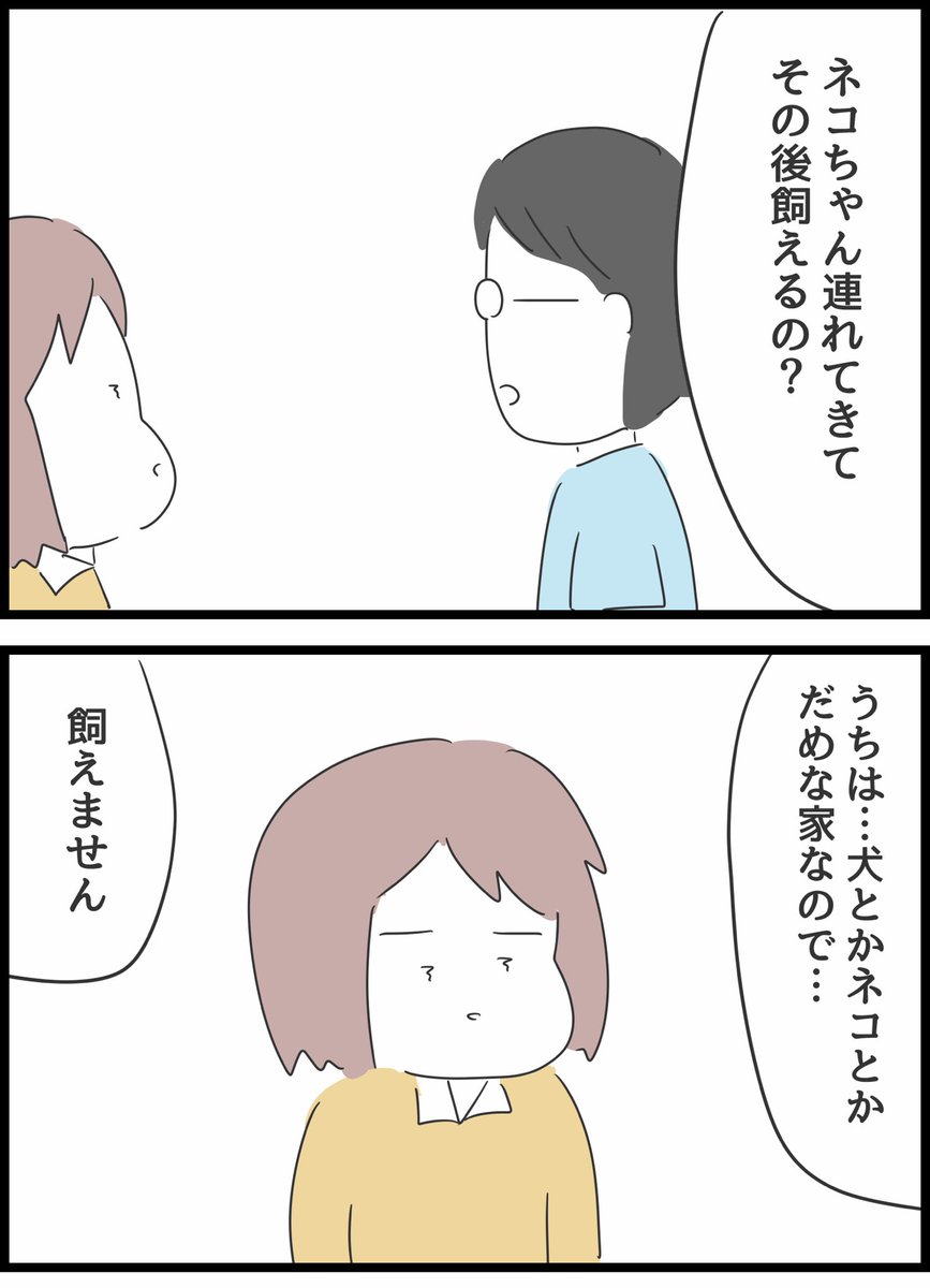 ネコの日になると思い出すこと3

※暗いお話なので気分が落ちている人は読まない方がいいかもです🙇‍♂️すみません💦 