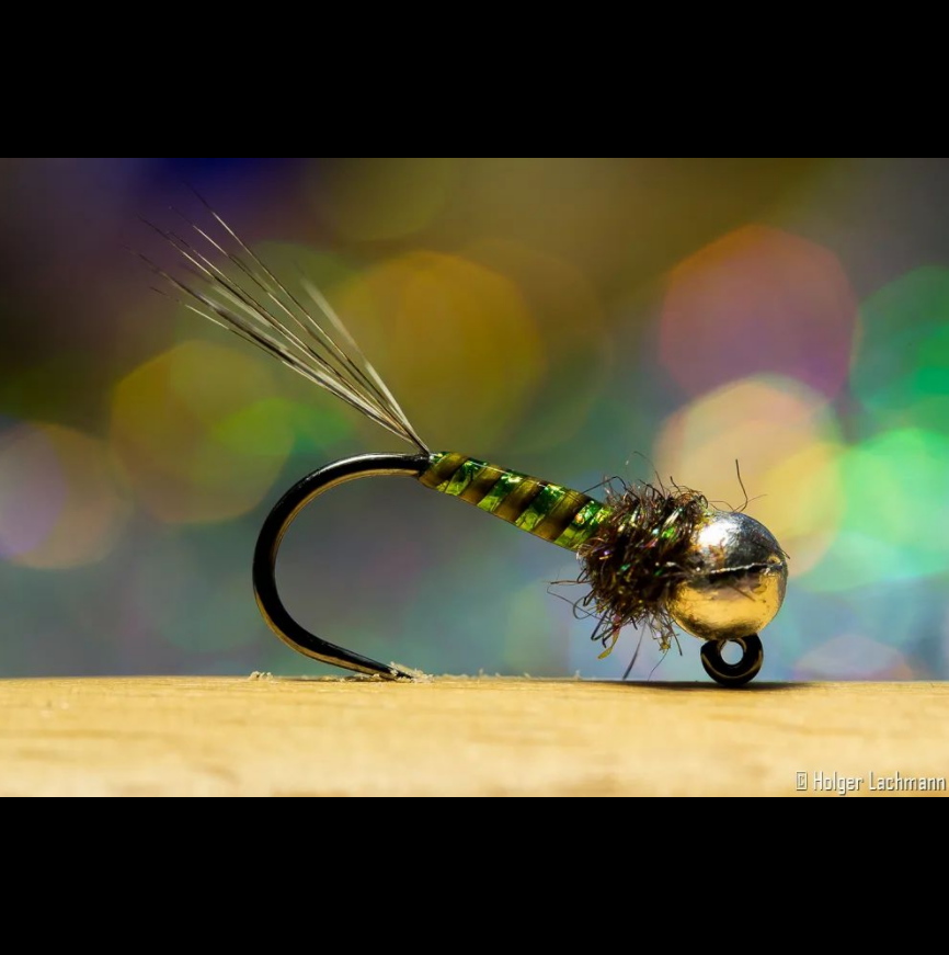 FarmsWhiting's tweet photo. Nice looking nymph to bounce across the bottom 
tied by @holgerlachmann
Jig Nymph
•
•
•
#theonefly #flytying #fliegenbinden #flyfishing #fliegenfischen #flugbindning #flugfiske #pescaconmosca #perhonsidonta #perhokalastus #eurostylenymphing #euronymphing  #ahrexhooks https://t.co/UBlEjyPFx3