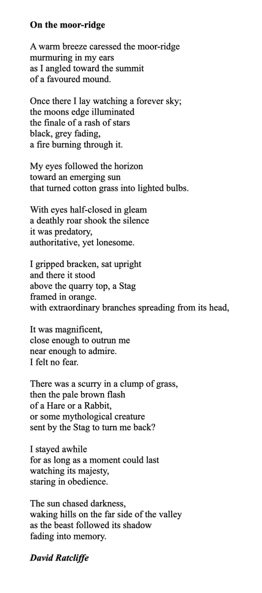 From my collection 'Through an Open Window'