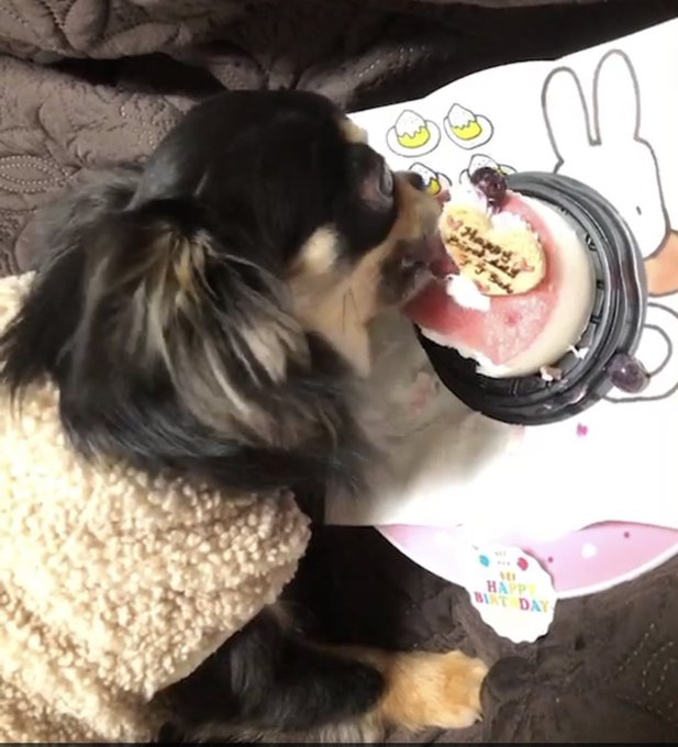 画像まとめ シン ゴジラ 日付順 5ページ目 アニメレーダー