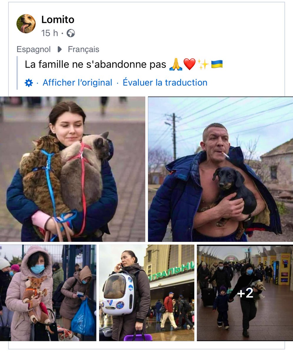 Alaoui Mustapha Mustapha tweet media