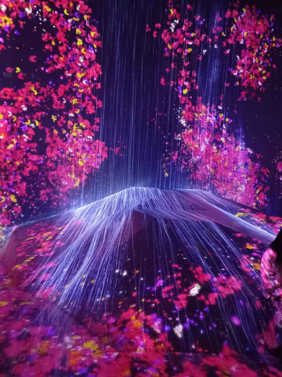 嵐 やっと行けた❤ めっちゃ楽しかったし 綺麗だった✨ チームラボは『5