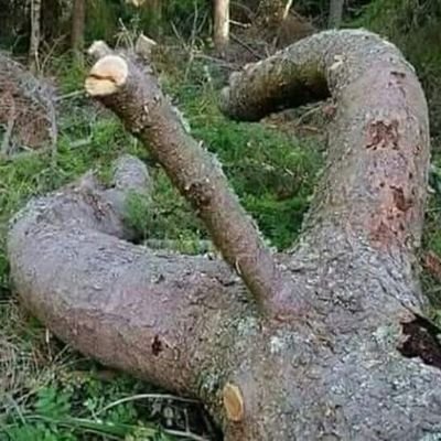 Talha69161978's tweet photo. #YeniProfilResmi https://t.co/BUjcwKFB7p