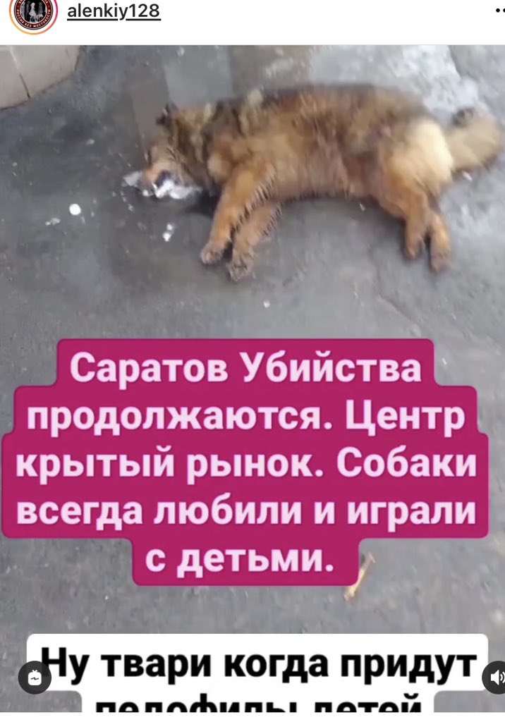 Solar moon tweet media