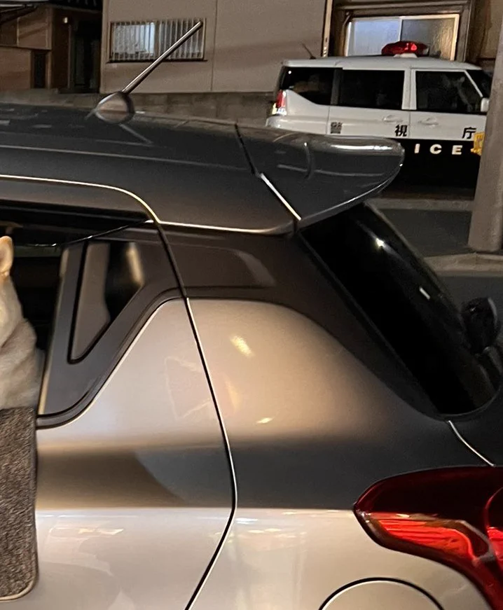 @sirosibainu うちは前から乗りたかった奥のあのシロクロのクルマに乗るでな 