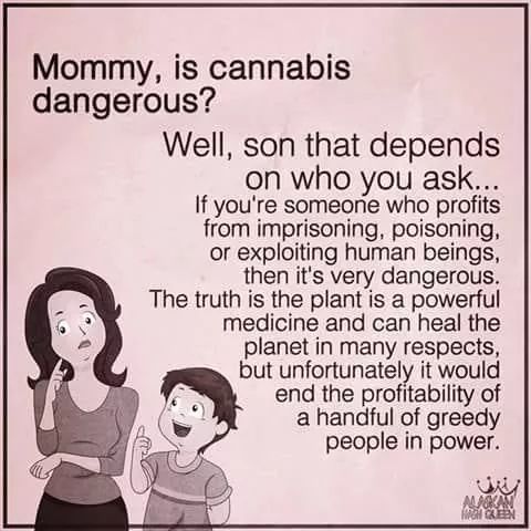 Norstackk's tweet photo. :>}_~#WakeNBake #StonerFam #StonerCircle #MMOT #IAmCannabis #WeAreCannabis #FuckCancer #StayWoke &amp; ALL #STONERS ~HappyFrHighDazed~HAGD/Weekend~ https://t.co/Efrhk9eJja