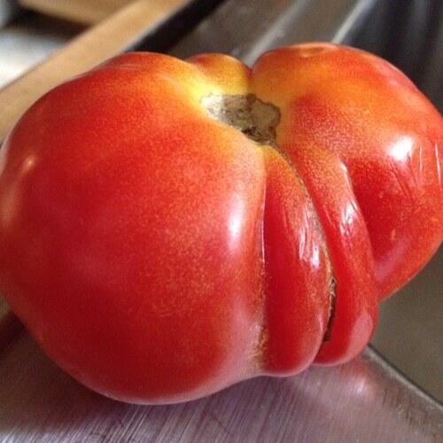 Вид киски персик. Смешной помидор. Помидор в виде жопки. Фрукты в виде органов. Смешной томат.