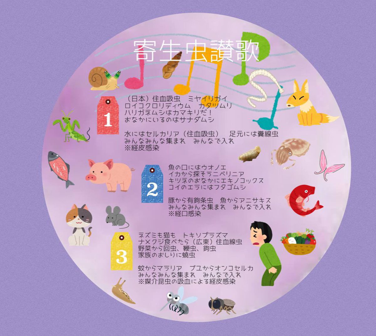 Takashi Kumagai Auf Twitter 寄生虫雑談 さっきの寄生虫の歌の歌詞です タイトル 寄生虫讃歌 T Co Kbwadgzjy2 Twitter