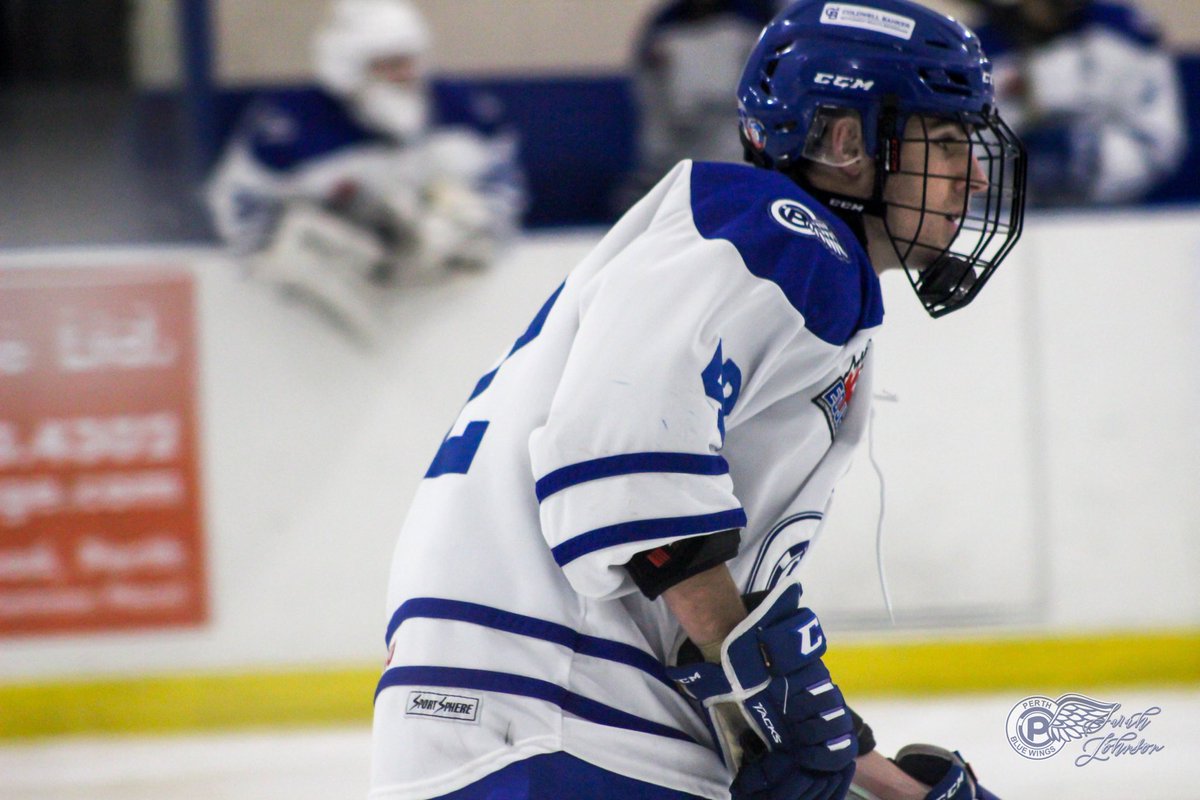 Perth Blue Wings tweet media