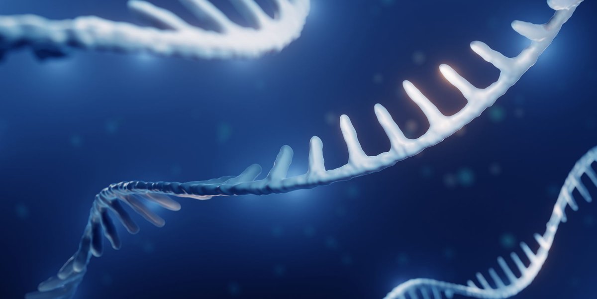 EarlhamInst's tweet photo. 🔎 Could long-read RNA sequencing be the future of drug discovery? In a new study published in @BioMedCentral, the Earlham Institute and @UniofOxford reveal some interesting new transcript variation from long-read RNA sequencing.

➡ https://t.co/wTuxWdHVmO
@WHaerty @LizTunbridge https://t.co/7ghdwIExVH